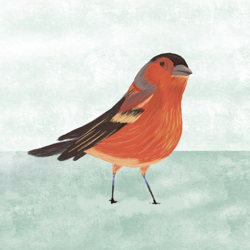Kerstkaart met illustratie vogeltje in sneeuw wit - Kerstkaarten Kerstkaarten - Kerstkaart met illustratie vogeltje in sneeuw wit