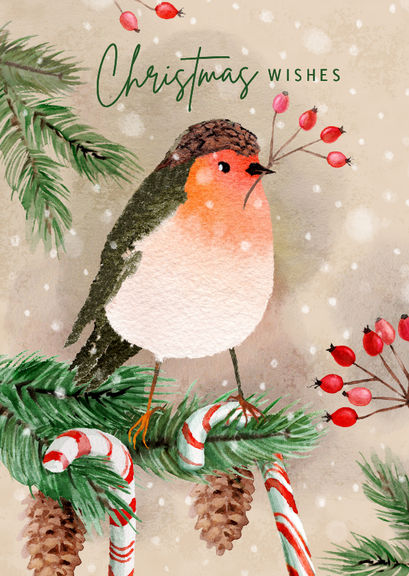 Kerstkaarten - Kerstkaart met roodborst en zuurstokken