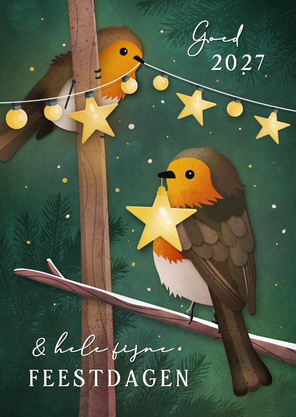 Kerstkaarten - Kerstkaart met roodborstje en kerst lampjes