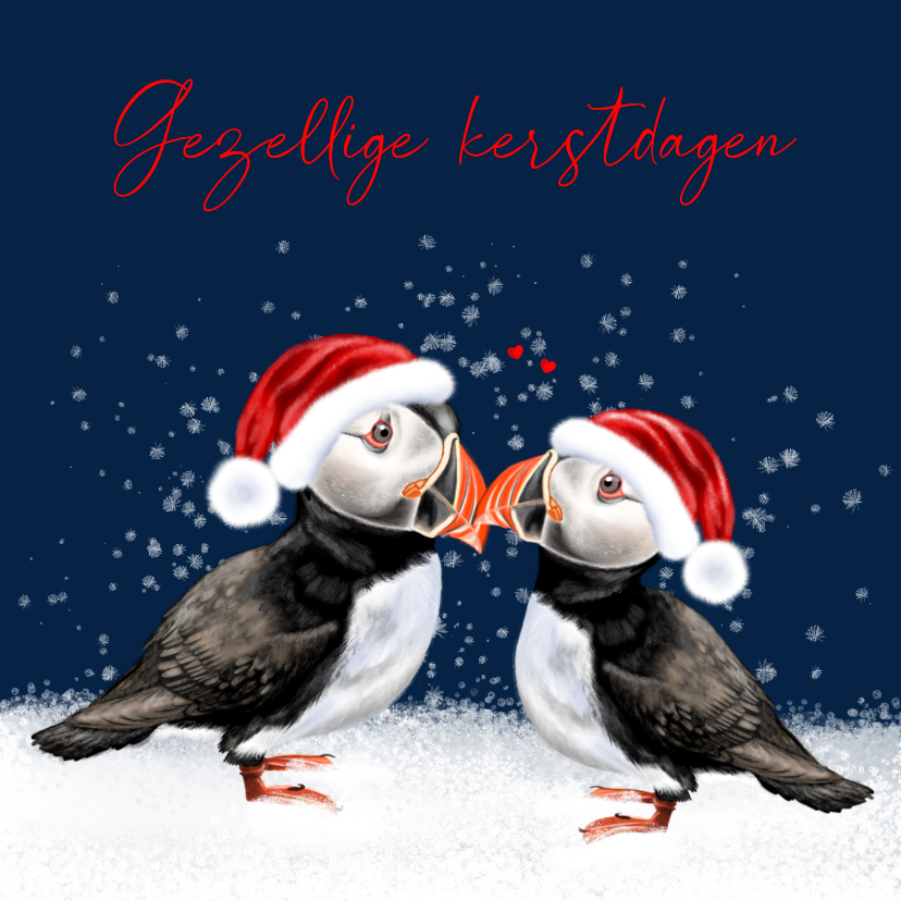 Kerstkaart met twee papegaaiduikers - Kerstkaarten Kerstkaarten - Kerstkaart met twee papegaaiduikers