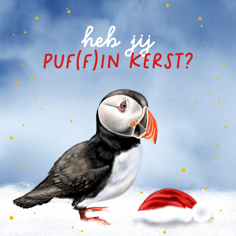Kerstkaart papegaaiduiker met kerstmuts in de sneeuw - Kerstkaarten Kerstkaarten - Kerstkaart papegaaiduiker met kerstmuts in de sneeuw