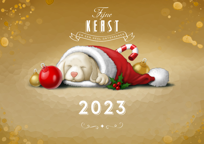 Kerstkaart puppy in kerstmuts - Kerstkaarten Kerstkaarten - Kerstkaart puppy in kerstmuts