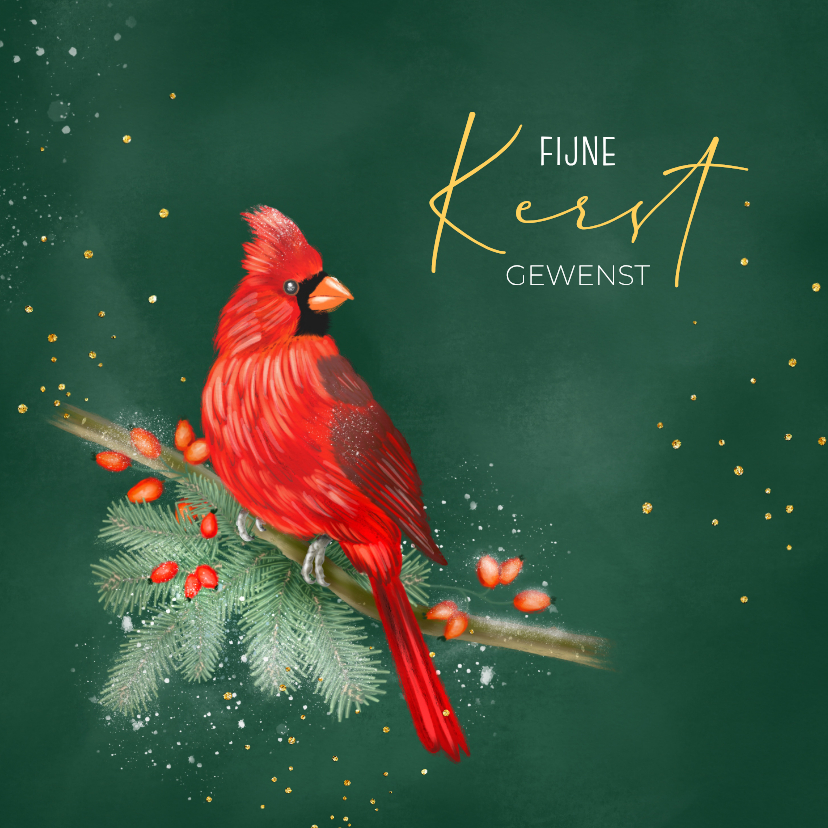 Kerstkaarten - Kerstkaart rode kardinaal