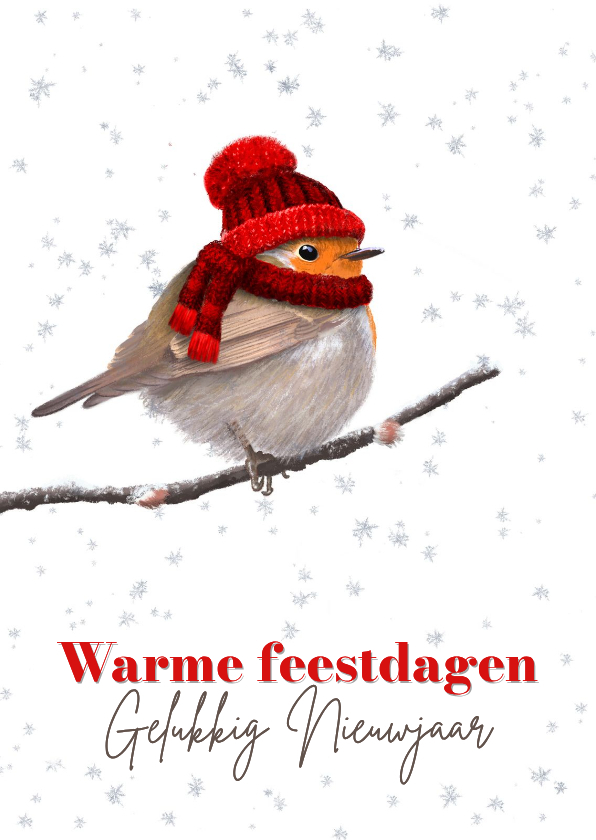 Kerstkaarten - Kerstkaart roodborst rode muts