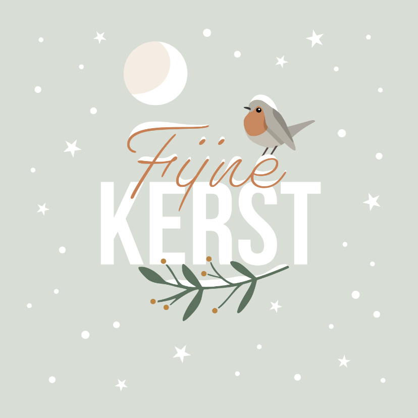 Kerstkaart roodborstje in de winter - Kerstkaarten Kerstkaarten - Kerstkaart roodborstje in de winter