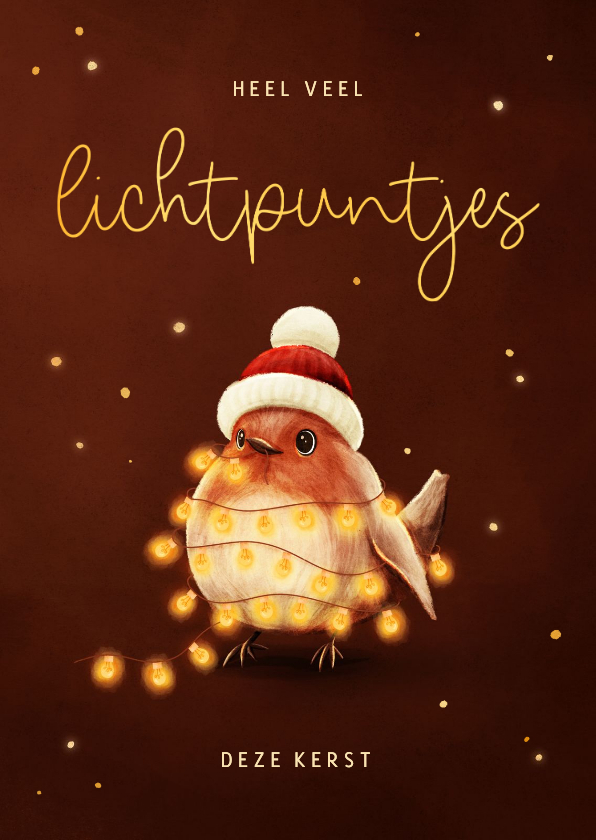 Kerstkaart roodborstje met lampjes lichtpuntjes voor jou - Kerstkaarten Kerstkaarten - Kerstkaart roodborstje met lampjes lichtpuntjes voor jou