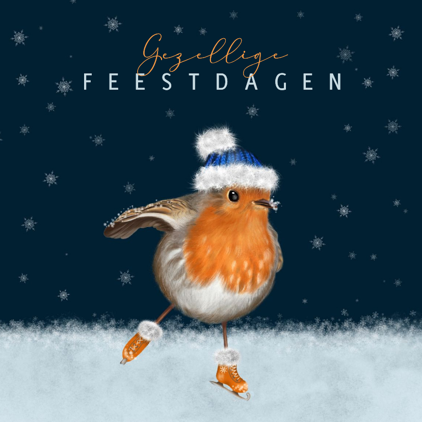 Kerstkaart roodborstje met muts op schaatsen - Kerstkaarten Kerstkaarten - Kerstkaart roodborstje met muts op schaatsen