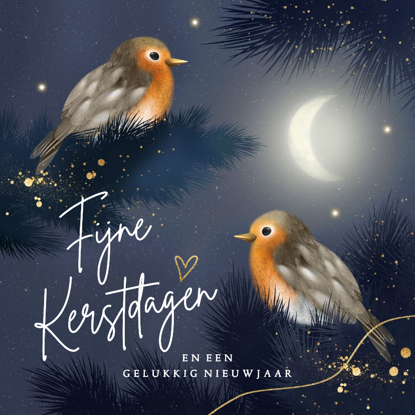 Kerstkaart roodborstje nacht maan goud blauw - Kerstkaarten Kerstkaarten - Kerstkaart roodborstje nacht maan goud blauw