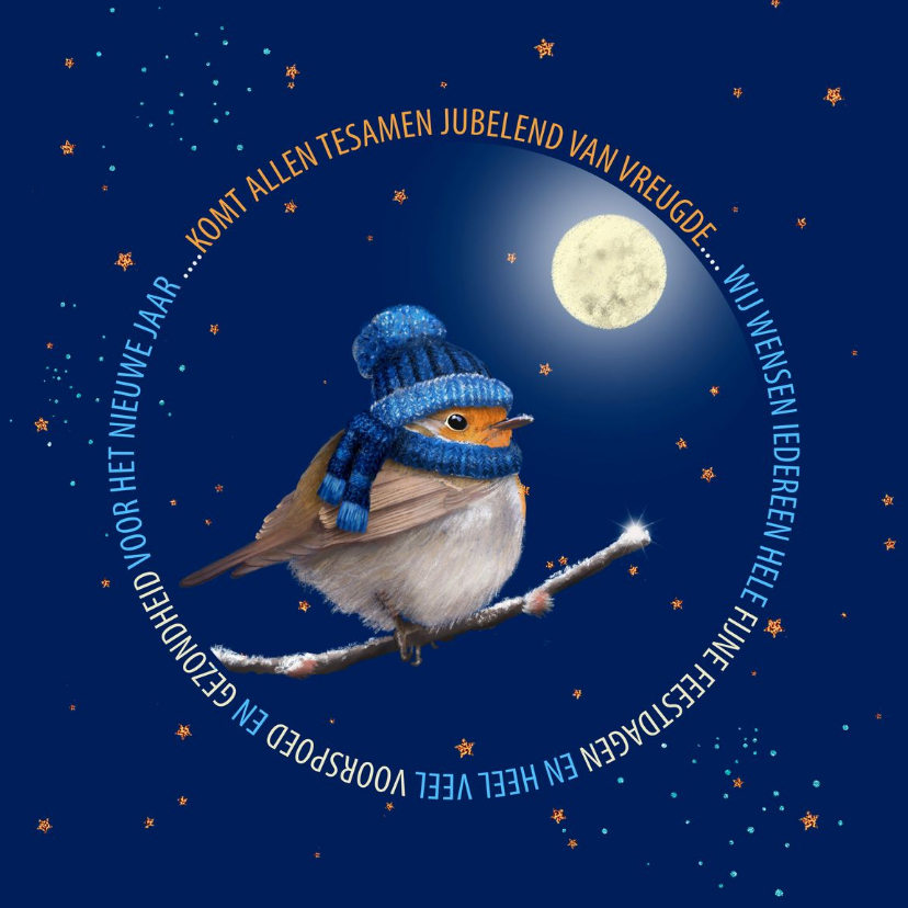 Kerstkaart roodborstje op donkerblauw met glitter - Kerstkaarten Kerstkaarten - Kerstkaart roodborstje op donkerblauw met glitter