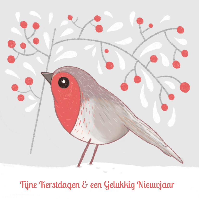 Kerstkaart Roodborstje - Kerstkaarten Kerstkaarten - Kerstkaart Roodborstje