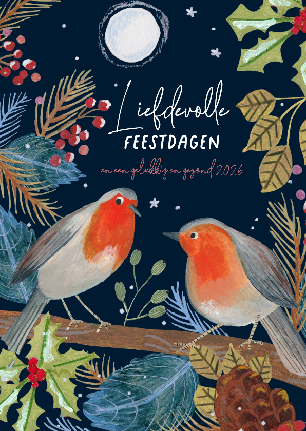 Kerstkaarten - Kerstkaart roodborstjes bij volle maan