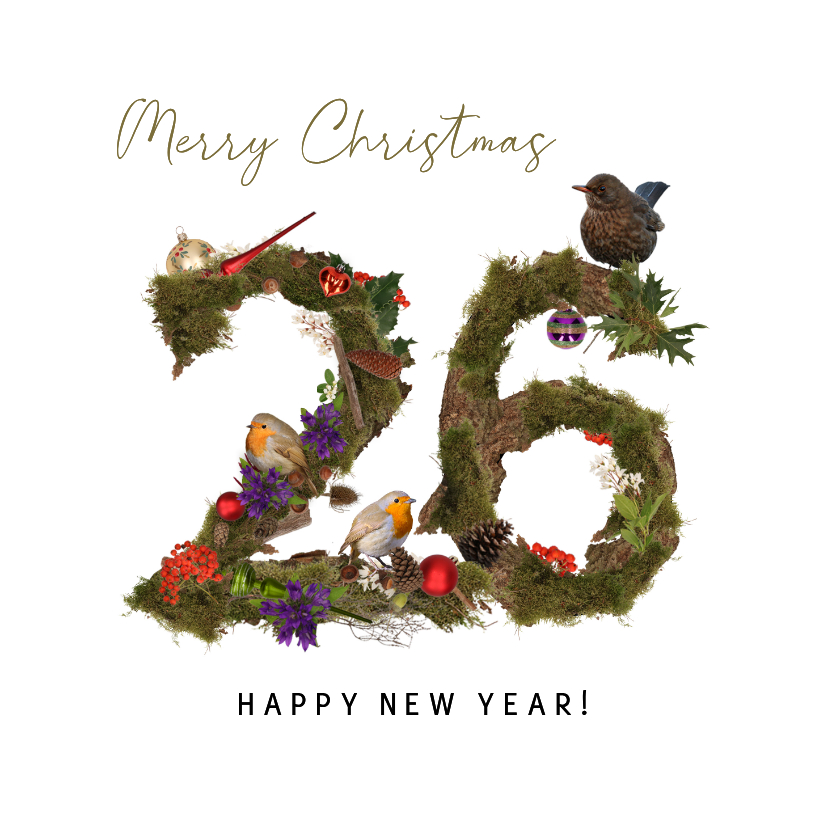 Kerstkaarten - Kerstkaart roodborstjes en merel natuur 2026