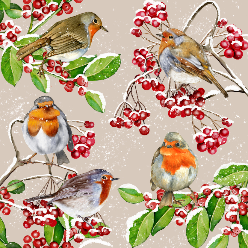 Kerstkaarten - Kerstkaart roodborstjes in de winter op takjes