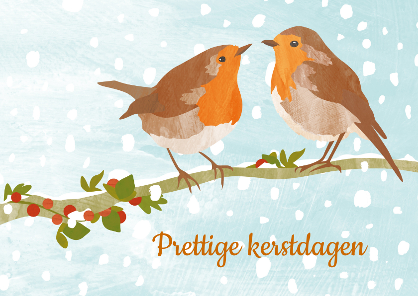Kerstkaart roodborstjes sneeuw - Kerstkaarten Kerstkaarten - Kerstkaart roodborstjes sneeuw