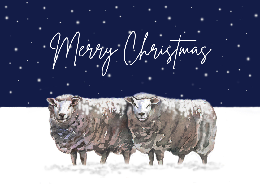 Kerstkaart Schapen in de sneeuw - Kerstkaarten Kerstkaarten - Kerstkaart Schapen in de sneeuw