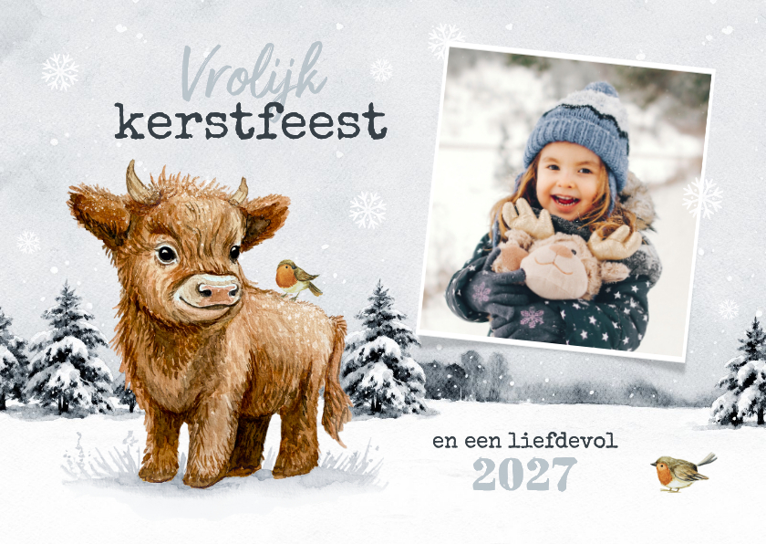 Kerstkaart Schotse hooglander roodborstjes foto winter - Kerstkaarten Kerstkaarten - Kerstkaart Schotse hooglander roodborstjes foto winter