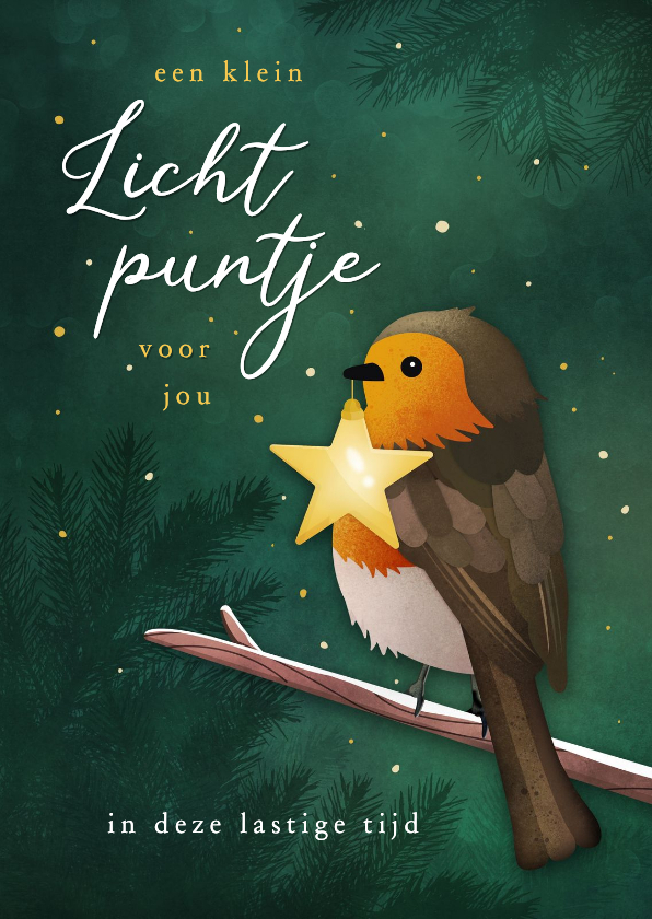 Kerstkaart sterkte lichtpuntje ster met roodborstje - Kerstkaarten Kerstkaarten - Kerstkaart sterkte lichtpuntje ster met roodborstje