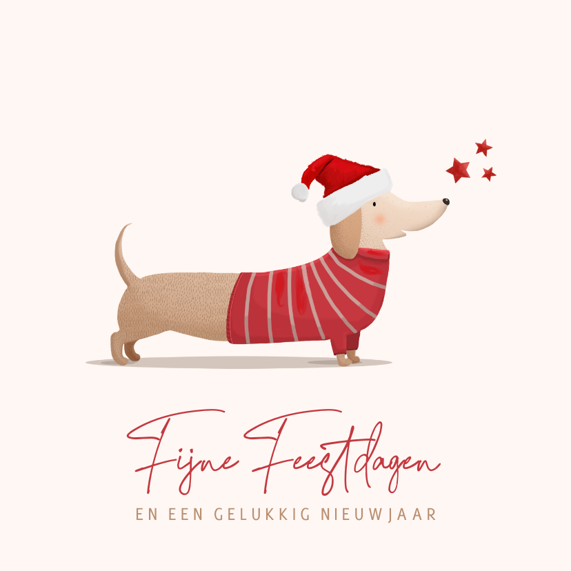 Kerstkaart teckel met kerstmuts - Kerstkaarten Kerstkaarten - Kerstkaart teckel met kerstmuts