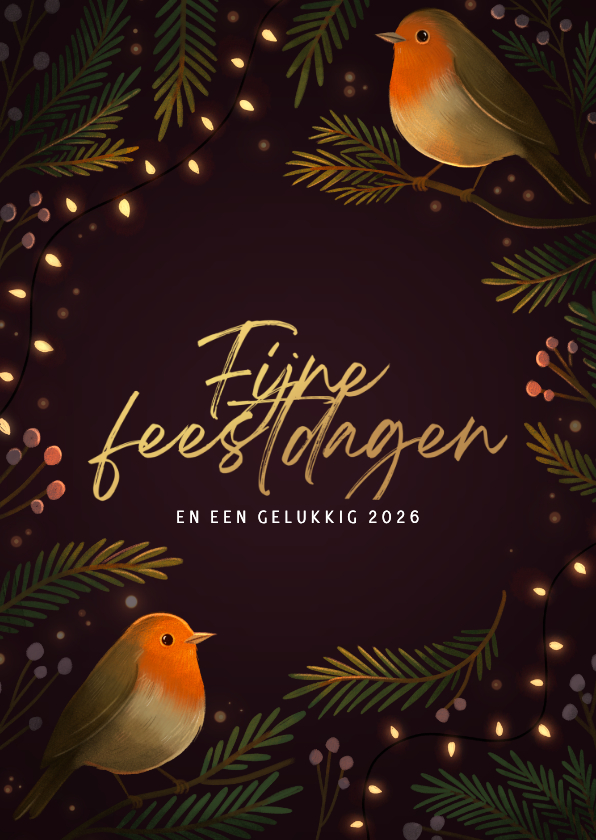 Kerstkaart twee roodborstjes met kerstlampjes - Kerstkaarten Kerstkaarten - Kerstkaart twee roodborstjes met kerstlampjes