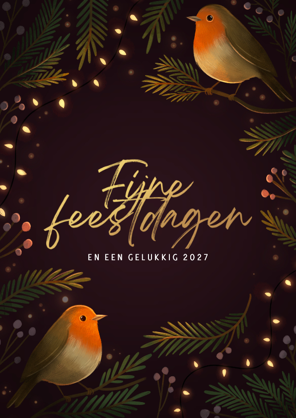 Kerstkaart twee roodborstjes met kerstlampjes - Kerstkaarten Kerstkaarten - Kerstkaart twee roodborstjes met kerstlampjes