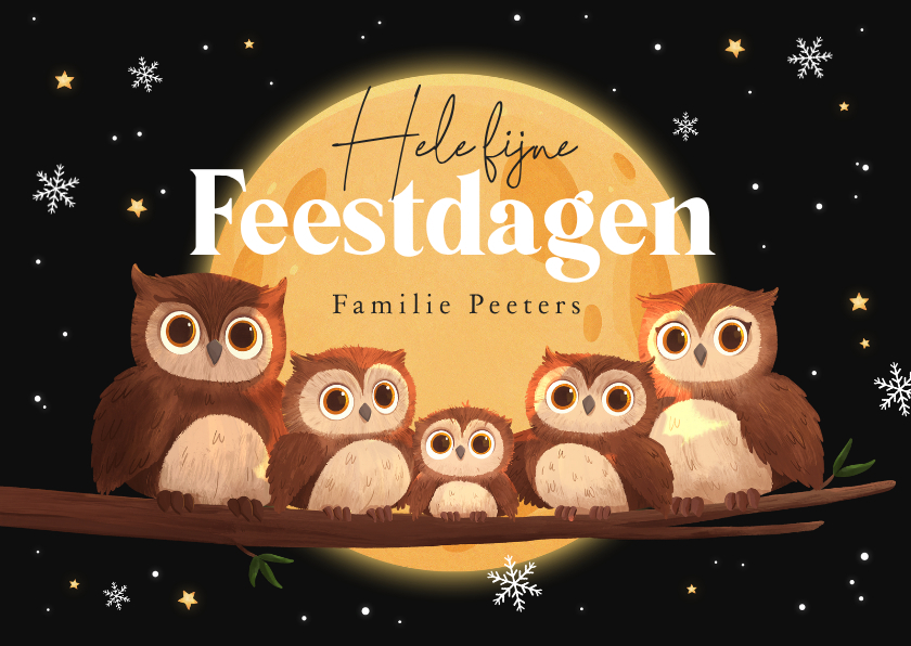 Kerstkaart uiltjes bosdieren familie maan sterren feestdagen - Kerstkaarten Kerstkaarten - Kerstkaart uiltjes bosdieren familie maan sterren feestdagen