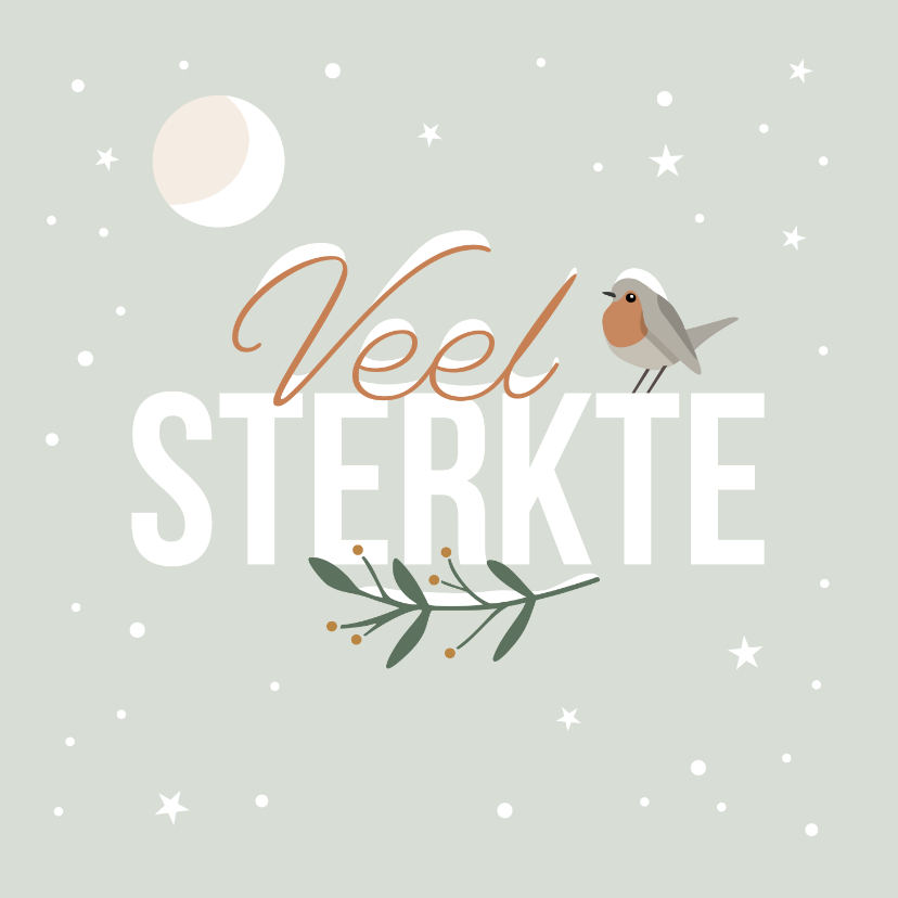 Kerstkaart 'Veel sterkte' roodborstje in de sneeuw - Kerstkaarten Kerstkaarten - Kerstkaart 'Veel sterkte' roodborstje in de sneeuw