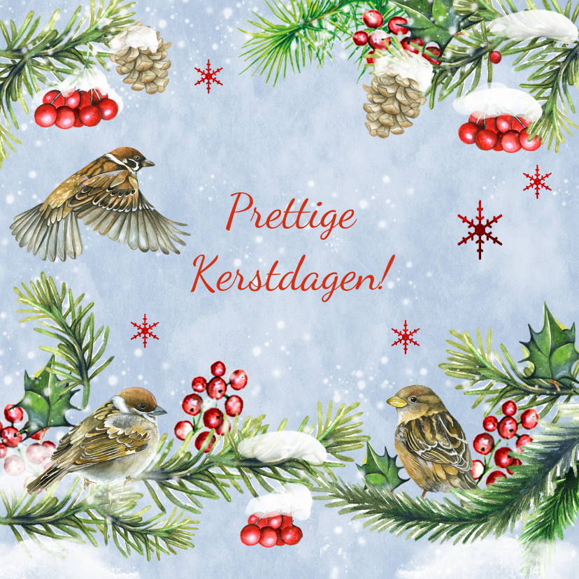 Kerstkaart vogeltjes in sneeuw - Kerstkaarten Kerstkaarten - Kerstkaart vogeltjes in sneeuw