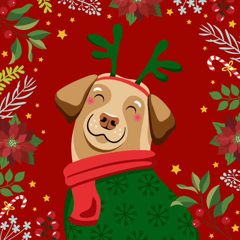 Kerstkaart vrolijke hond en kerststerren - Kerstkaarten Kerstkaarten - Kerstkaart vrolijke hond en kerststerren
