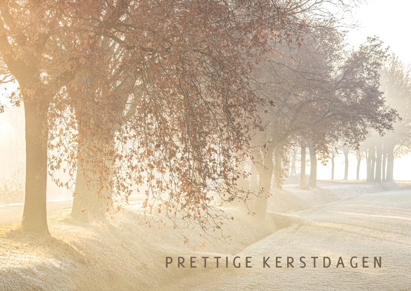 Kerstkaarten - Kerstkaart winters landschap met bomen