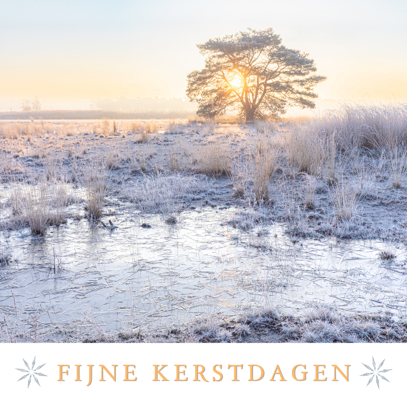 Kerstkaarten - Kerstkaart winters landschap