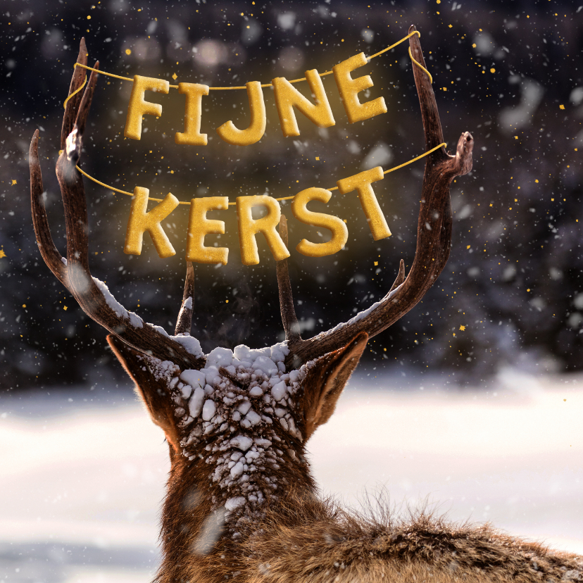 Kerstkaartje met foto rendier en goudlook 'fijne kerst' - Kerstkaarten Kerstkaarten - Kerstkaartje met foto rendier en goudlook 'fijne kerst'