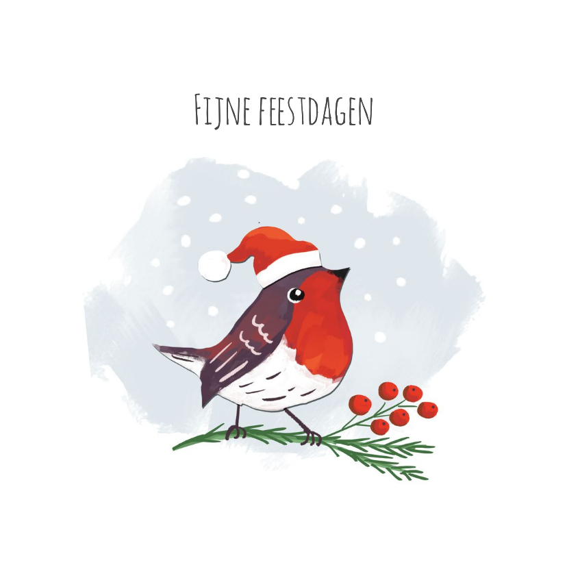 Kerstkaartje roodborstje met kerstmuts en dennentak - Kerstkaarten Kerstkaarten - Kerstkaartje roodborstje met kerstmuts en dennentak