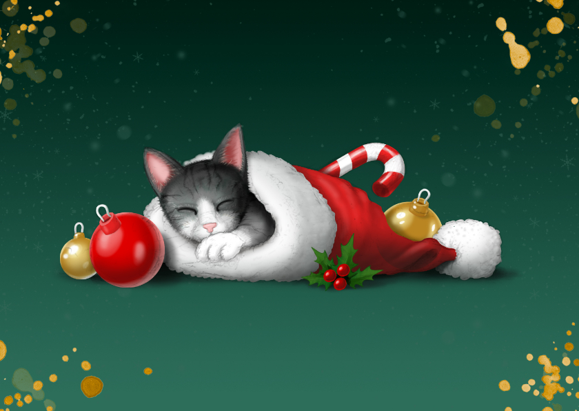 Kerstkaarten - Kerstkaartje slapend katje in kerstmuts