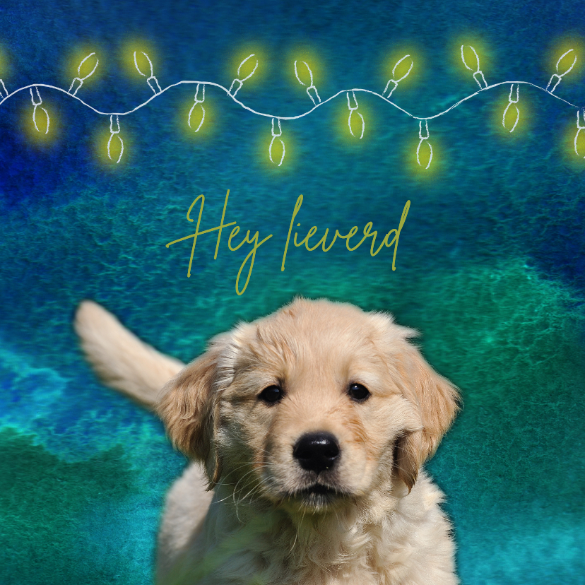 KNGF bedankkaart met pup die je aankijkt - Kerstkaarten Kerstkaarten - KNGF bedankkaart met pup die je aankijkt