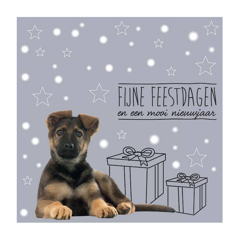 Kerstkaarten - KNGF kerstkaart met hond en cadeautjes