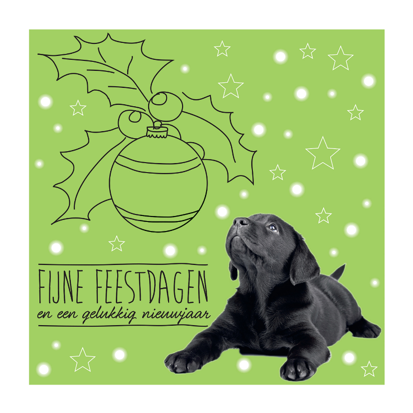 Kerstkaarten - KNGF kerstkaart met hond en kerstbal