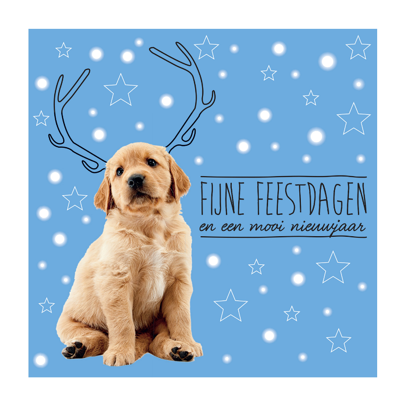 Kerstkaarten - KNGF kerstkaart met puppy en gewei