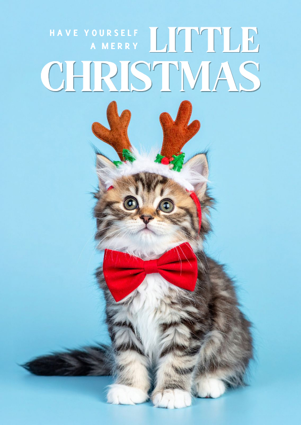 Lief kerstkaartje lichtblauw met kerst kitten - Kerstkaarten Kerstkaarten - Lief kerstkaartje lichtblauw met kerst kitten