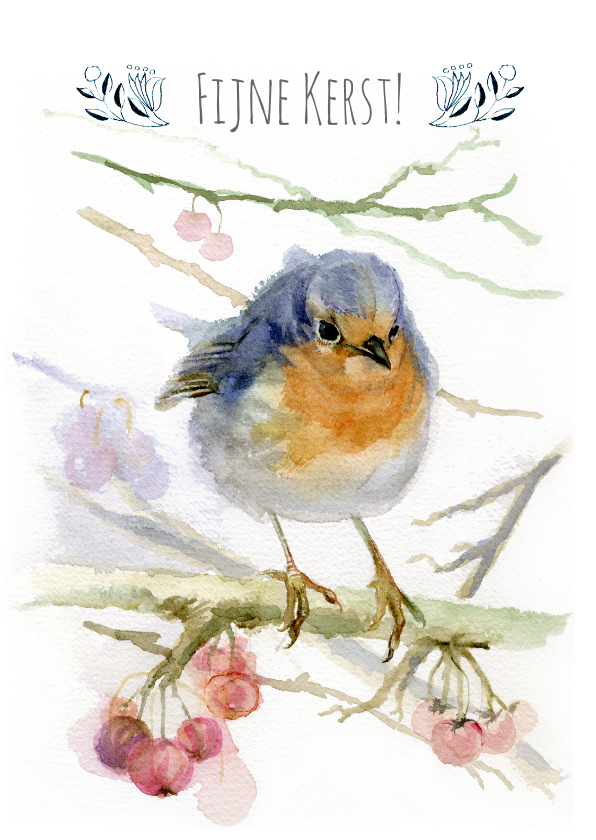 Lief kerstkaartje met roodborst - Kerstkaarten Kerstkaarten - Lief kerstkaartje met roodborst