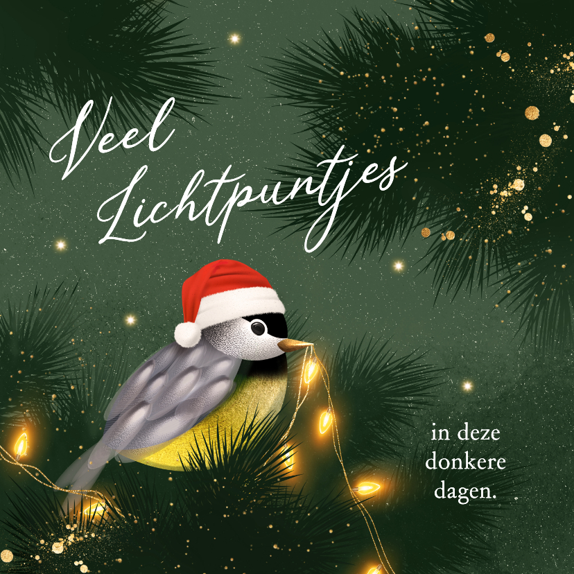 Kerstkaarten - Lief kerstkaartje met vogeltje en lichtpuntjes