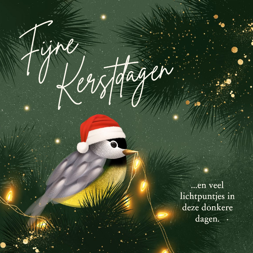 Lief kerstkaartje met vogeltje en lichtpuntjes - Kerstkaarten Kerstkaarten - Lief kerstkaartje met vogeltje en lichtpuntjes