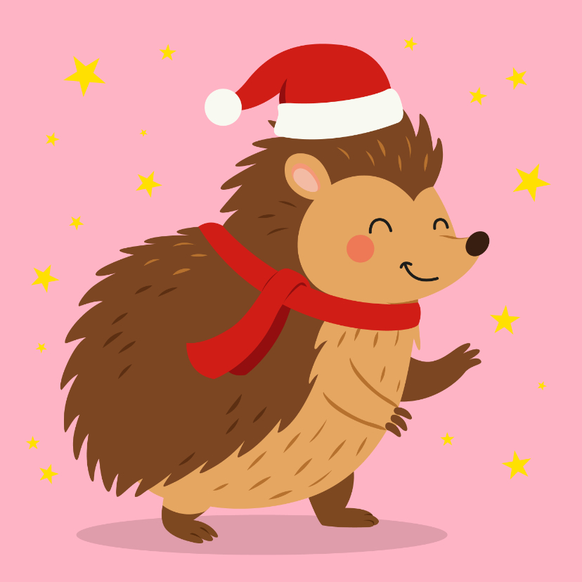 Kerstkaarten - Lieve kerstkaart met vrolijke egel