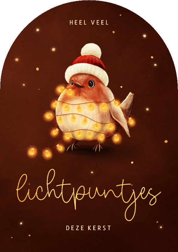 Kerstkaarten - Lieve kerstkaart roodborstje lichtpuntjes voor jou