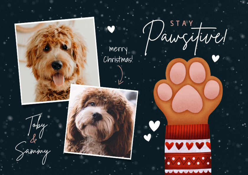 Kerstkaarten - Lieve kerstkaart Stay Pawsitive hondenpootje en foto's