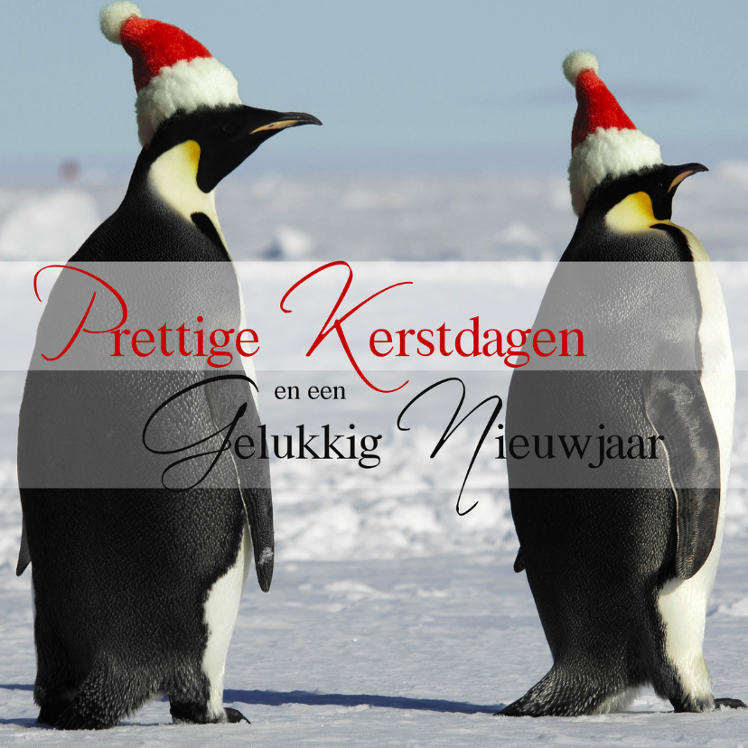 Prettige Kerstdagen Pinguins - Kerstkaarten Kerstkaarten - Prettige Kerstdagen Pinguins