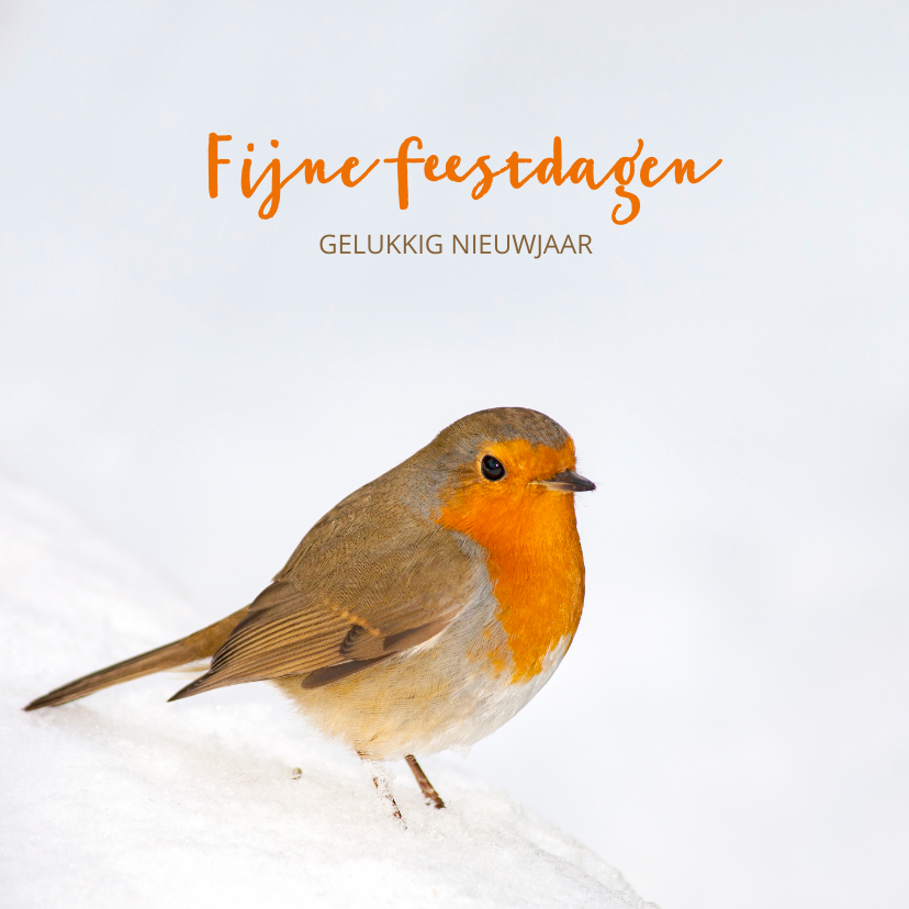 Roodborst op winterse dag - Kerstkaarten Kerstkaarten - Roodborst op winterse dag