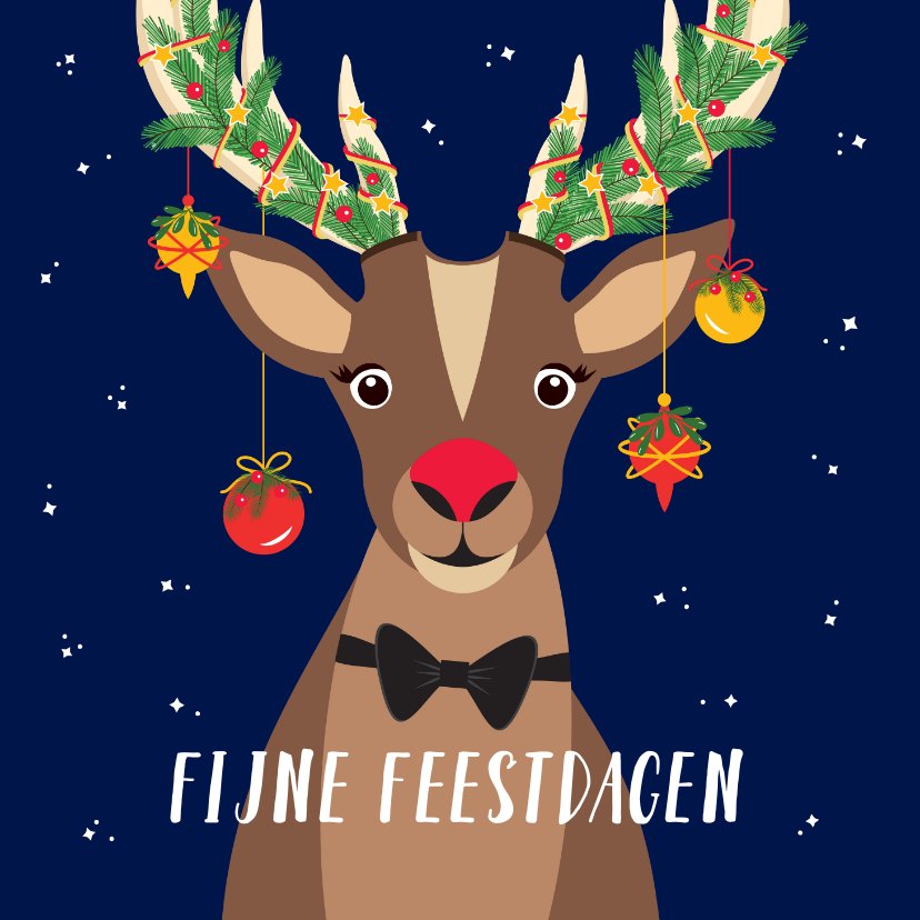 Kerstkaarten - Rudolf wenst jullie fijne feestdagen