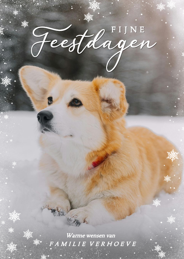 Schattige fotokaart met sneeuw en ijssterren - Kerstkaarten Kerstkaarten - Schattige fotokaart met sneeuw en ijssterren