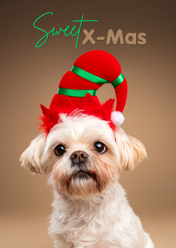 Kerstkaarten - Schattige kerstkaart van boomer hondje met kerstmuts op 