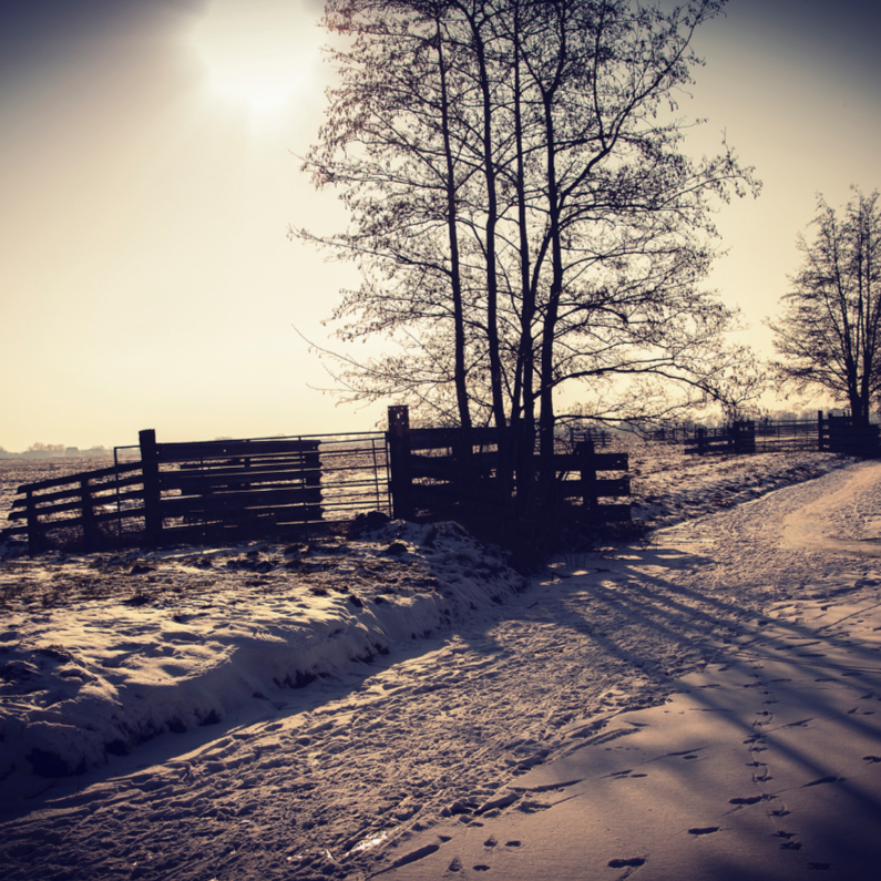 Sneeuwlandschap blanco - Kerstkaarten Kerstkaarten - Sneeuwlandschap blanco